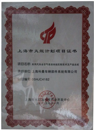 Torch Plan Project Certificate Shanghai